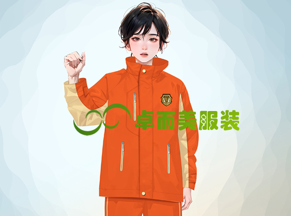 校服沖鋒衣班服定制采購設(shè)計(jì)方案